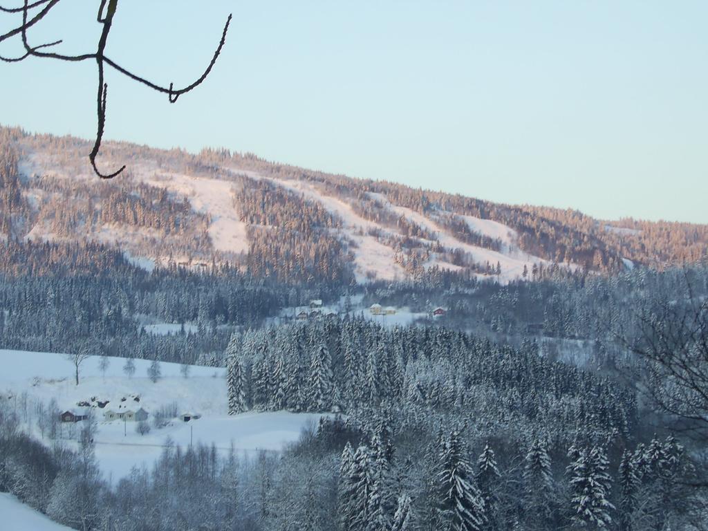Sogn Gjestegard Svarstad  Camera foto