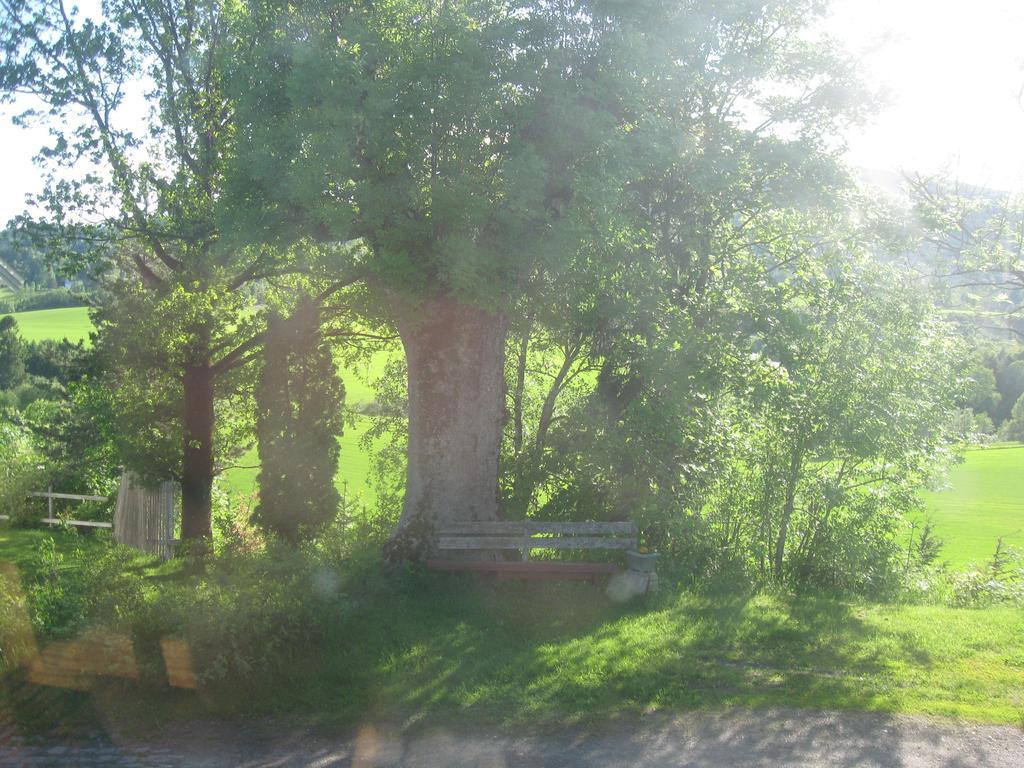 Sogn Gjestegard Svarstad  Camera foto